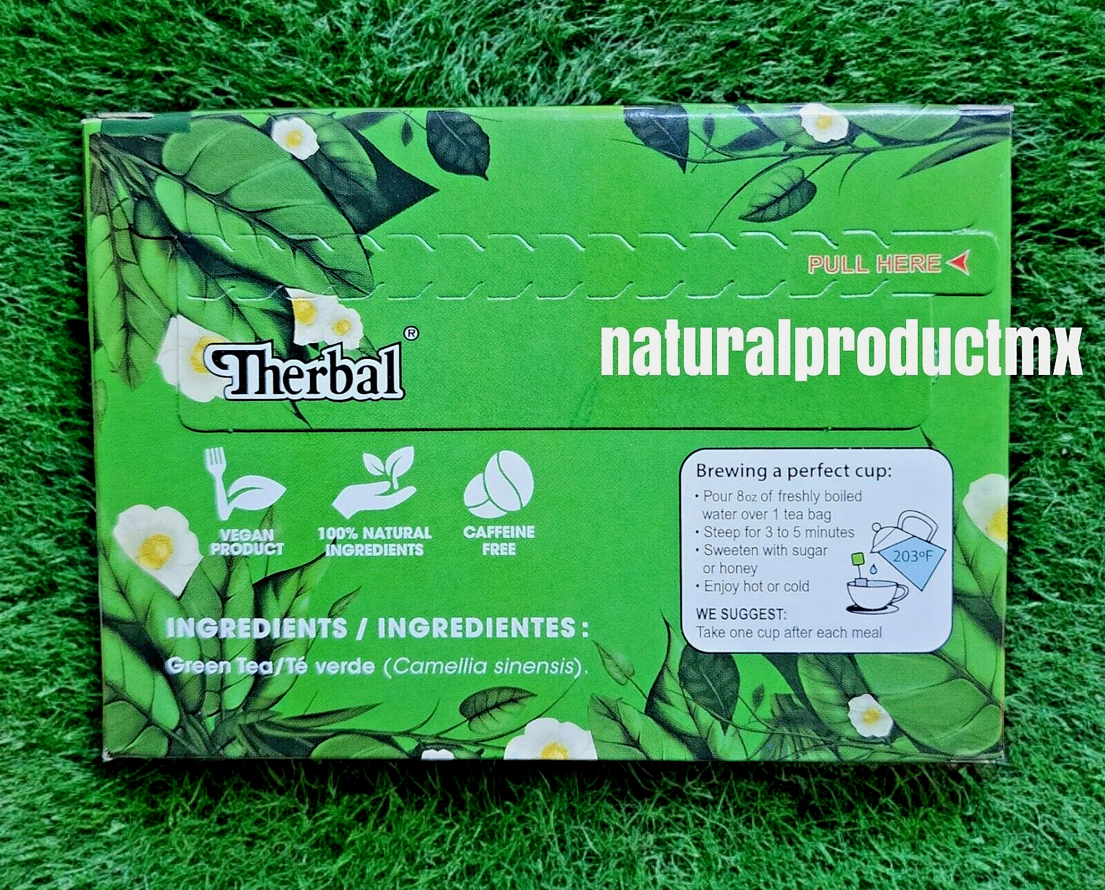 3 Packs GREEN TEA Camellia Sinensis TE VERDE 60 bags Therbal Made in Mexico