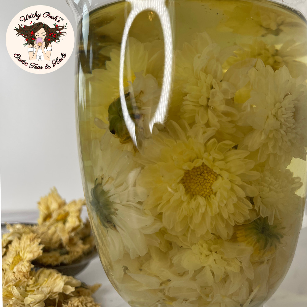 Witchy Pooh’s Chrysanthemum Tea – Whole Flowers, Caffeine Free