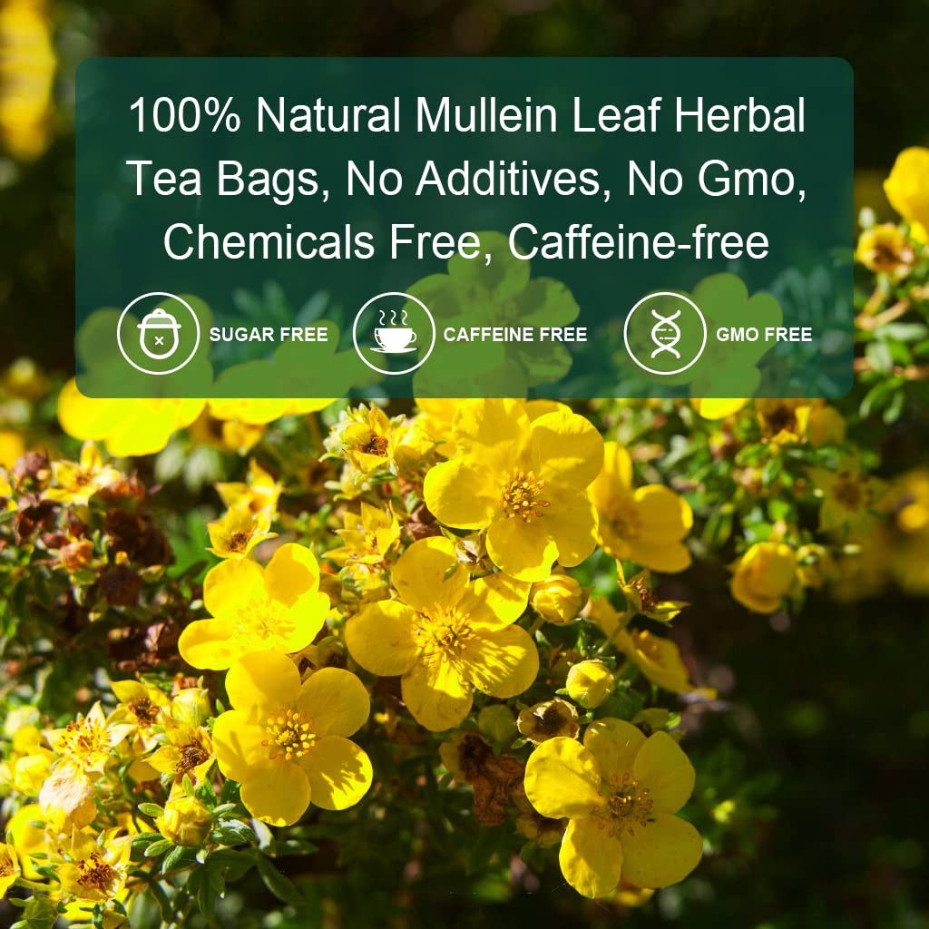 Mullein Leaf Tea Bags – Lungs Cleanse and Respiratory Support, Herbal Teas, Caff