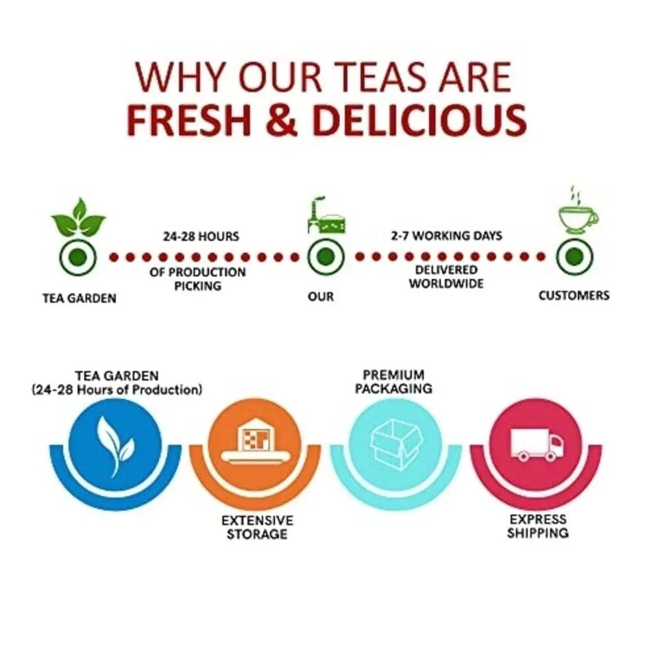 TEACURRY Moringa Green Tea – 30 Tea Bags