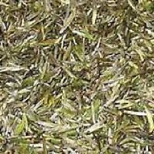 DARJEELING TEA (FRESH FIRST FLUSH 2024) RISHIHAT SFTGFOP I CLONAL 500 gms