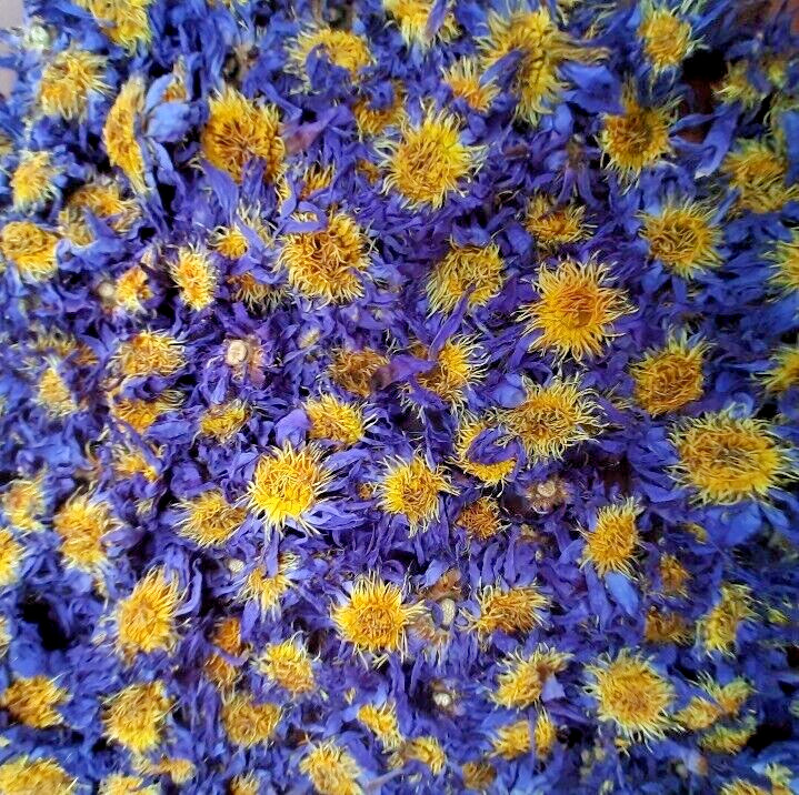 180g Dried Blue Lotus Flower Nymphaea Caerulea Natural Hand Picked Flower Herbal