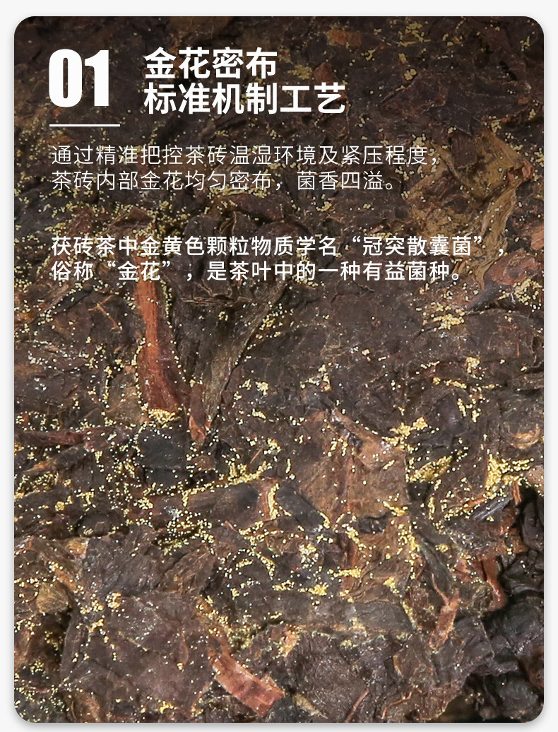 Jin Hua Chun Ye * CHINA TEA Hunan Anhua Dark Tea Golden Flower Fu Brick Tea 760g