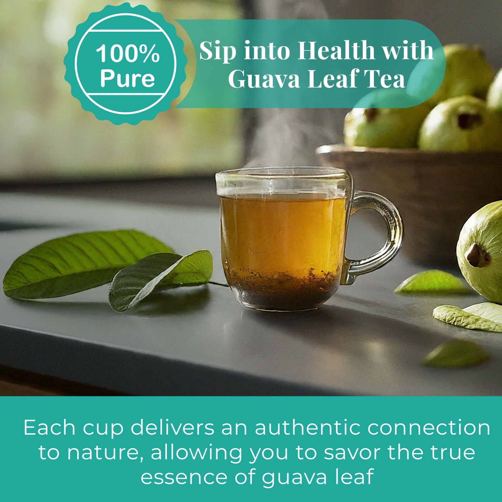 100% Pure Dried Guava Leaves, Hojas de Guayaba Organic, Guava Herbal Tea, 2.60z