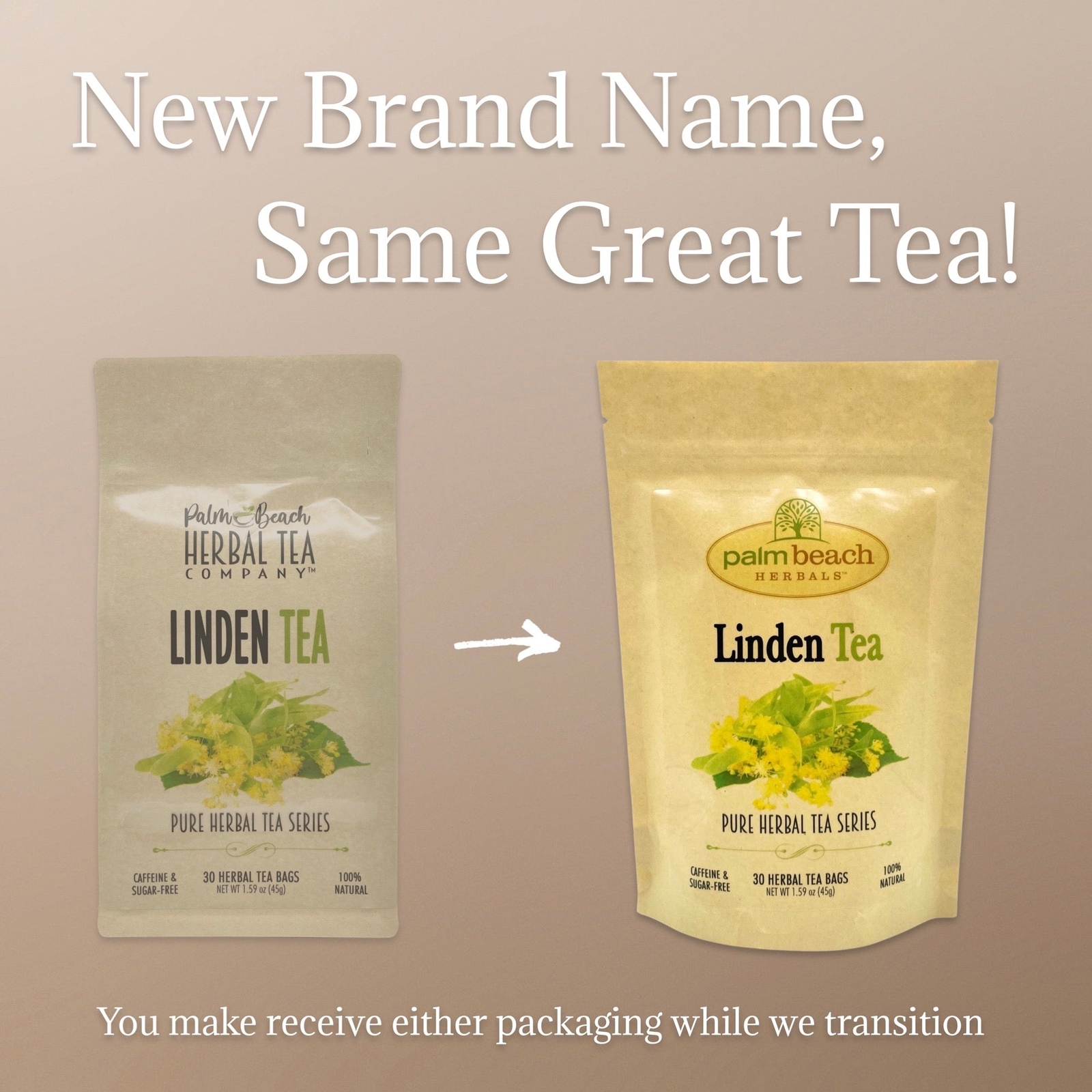 Linden Tree Tea by Palm Beach Herbals | 30ct, Caffeine-Free