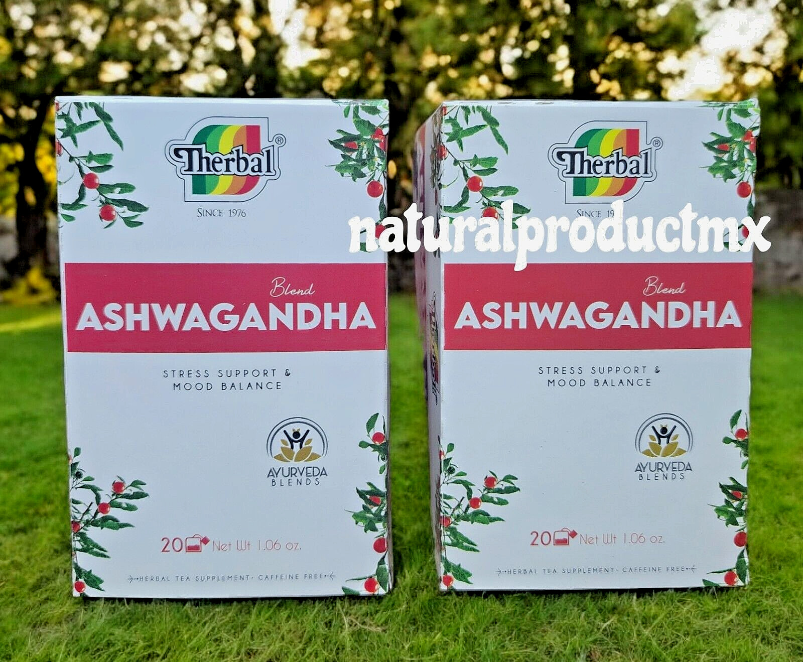 2 Boxes Te de Ashwagandha Tea Therbal Herbal Tea 40 Tea Bags Free Shipping