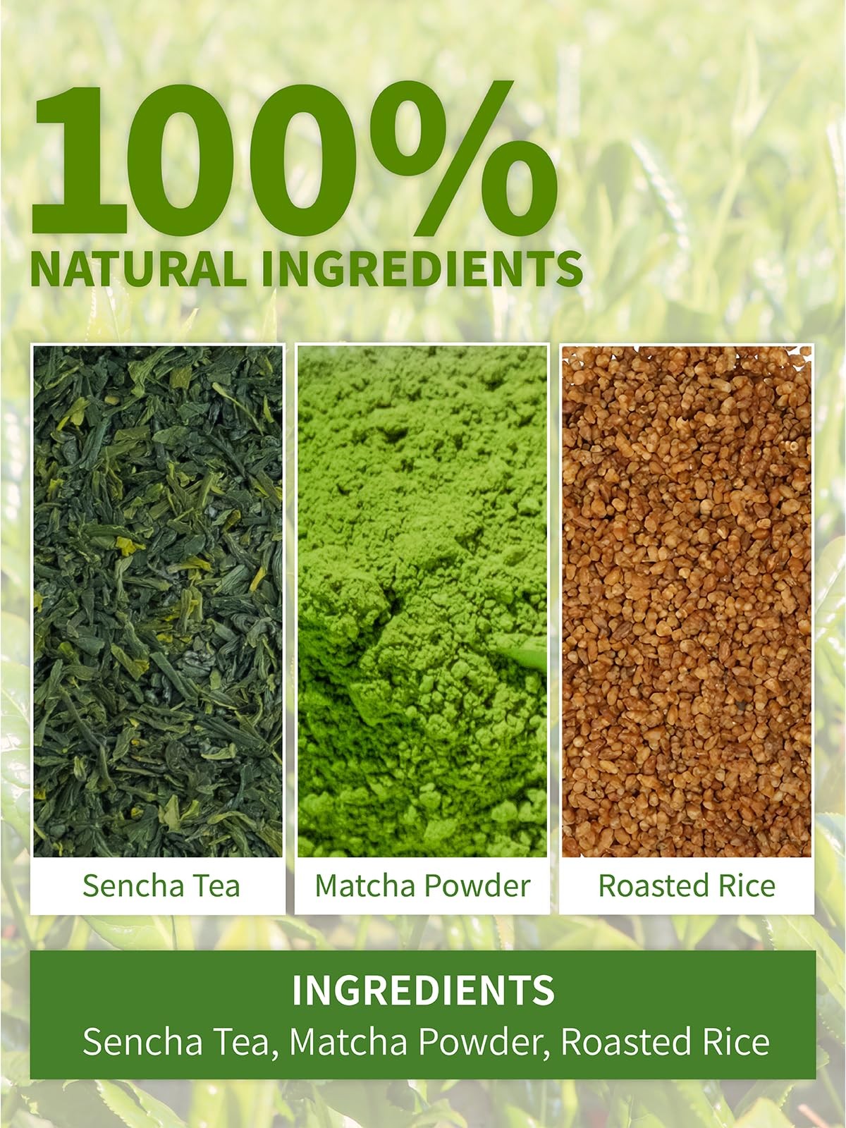 60 Count Genmaicha Tea Bags with Sencha Green Tea Matcha Roasted Brown Rice