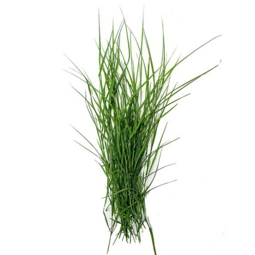 100% Organic Sun Dried Arugampul/Bermuda/Dhoob/Bahama Grass Powder No GMO