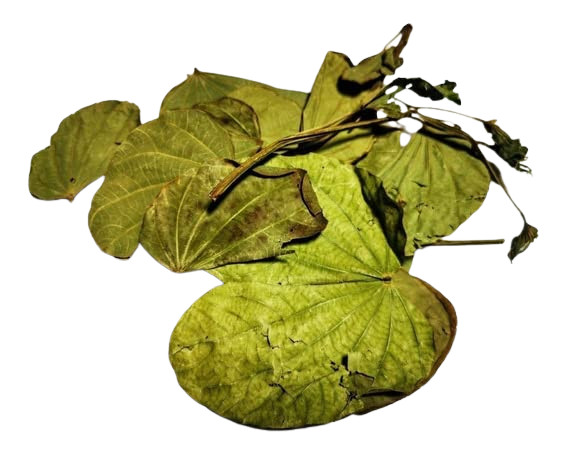 Te Herbal Pata De Vaca. Herbal Tea (Cow’s Foot Leaves). 1 oz and 4 oz.