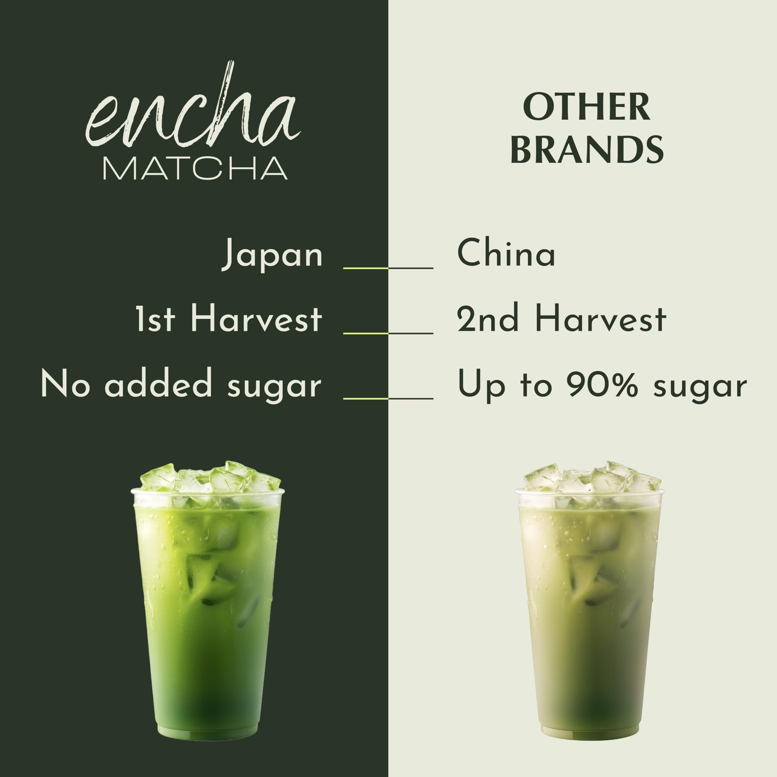 Encha Matcha Latte Powder Sweetened Lightly Sweet Matcha Powder First Harve…