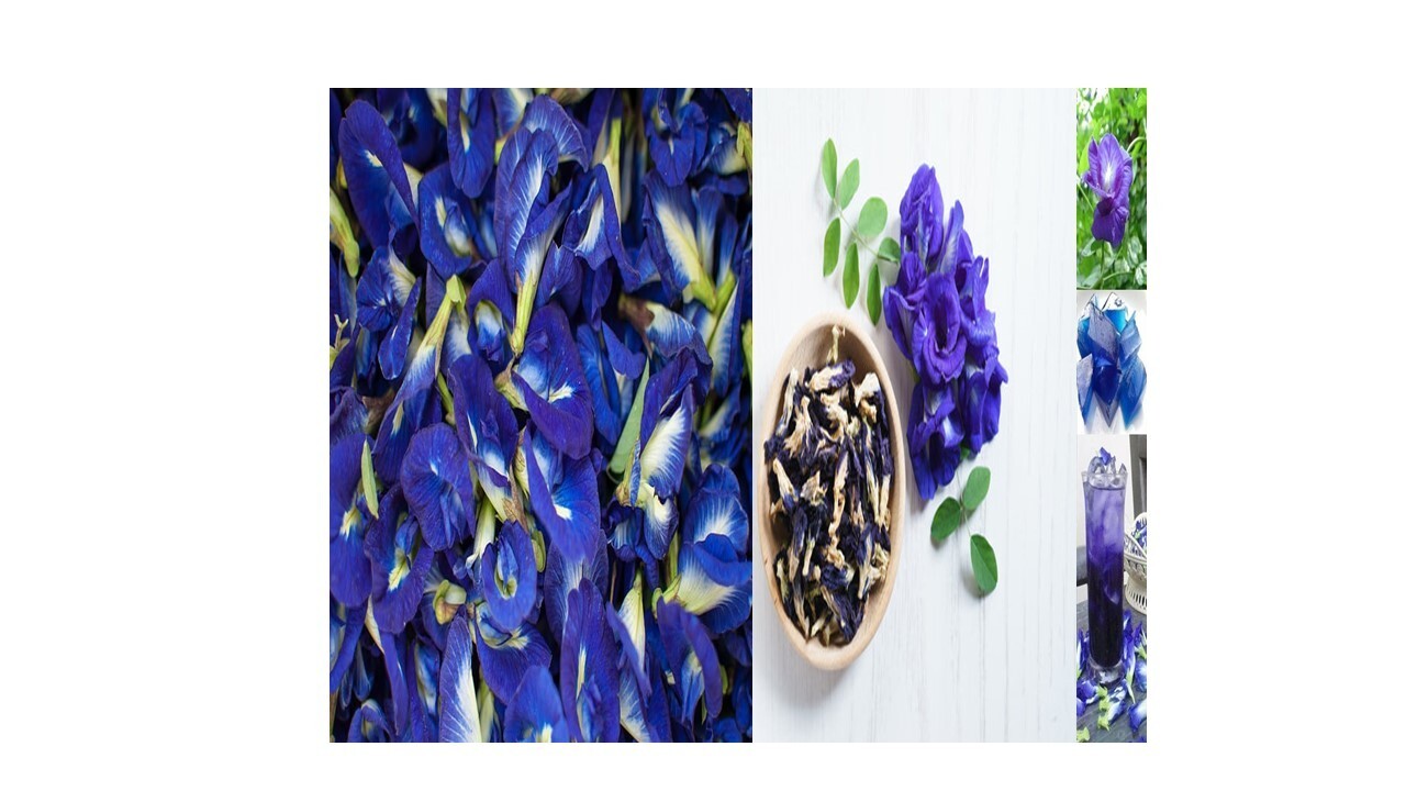 Ceylon Dried Natural BUTTERFLY PEA FLOWERS Healthy Herbal Blue Drink Organic100%