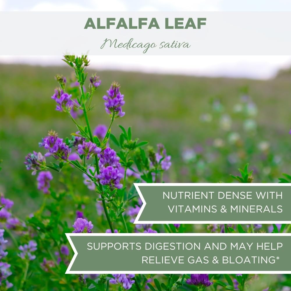 Organic Alfalfa Leaf 4 oz. (113g), USDA Certified Herb Loose…