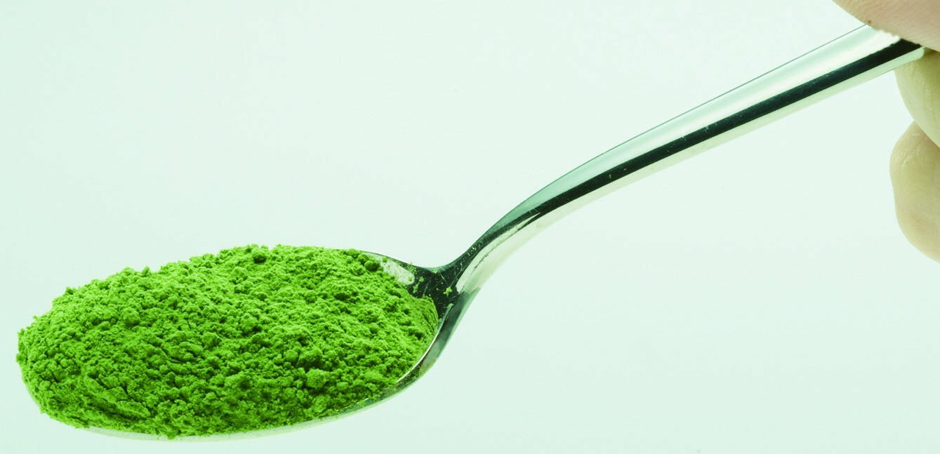 YAMAMOTO kampo Barley Young Leaves AOJIRU 100% Powder 85g