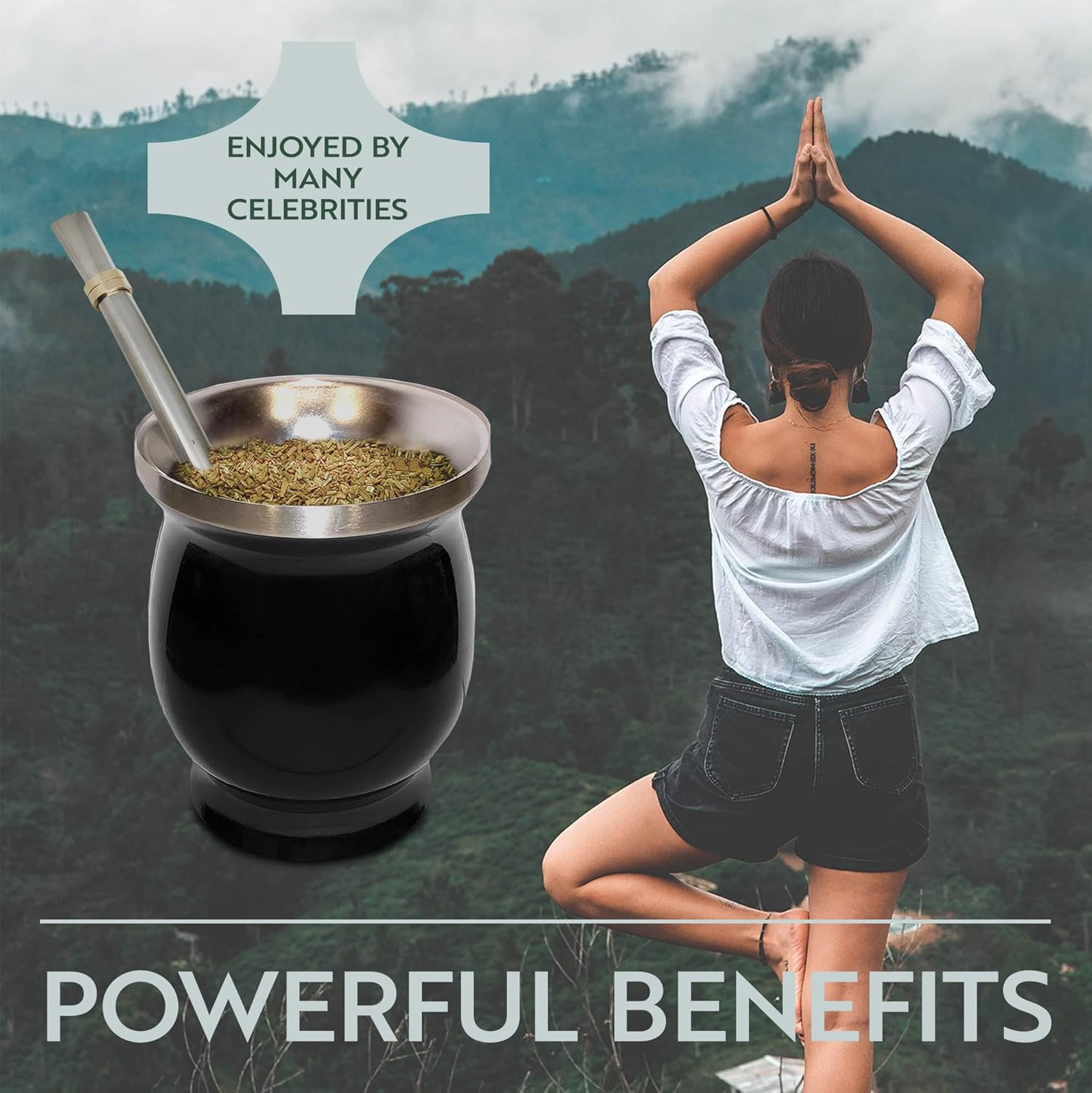 8 oz Yerba Mate Cup Kit Stainless Steel Gourd Set with 2 Bombillas Black
