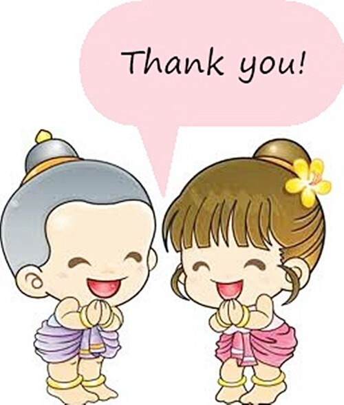 Safflower Tea 60 Tea Bags Thai Saffron Dried Herbal Natural Thanyaporn Free Ship