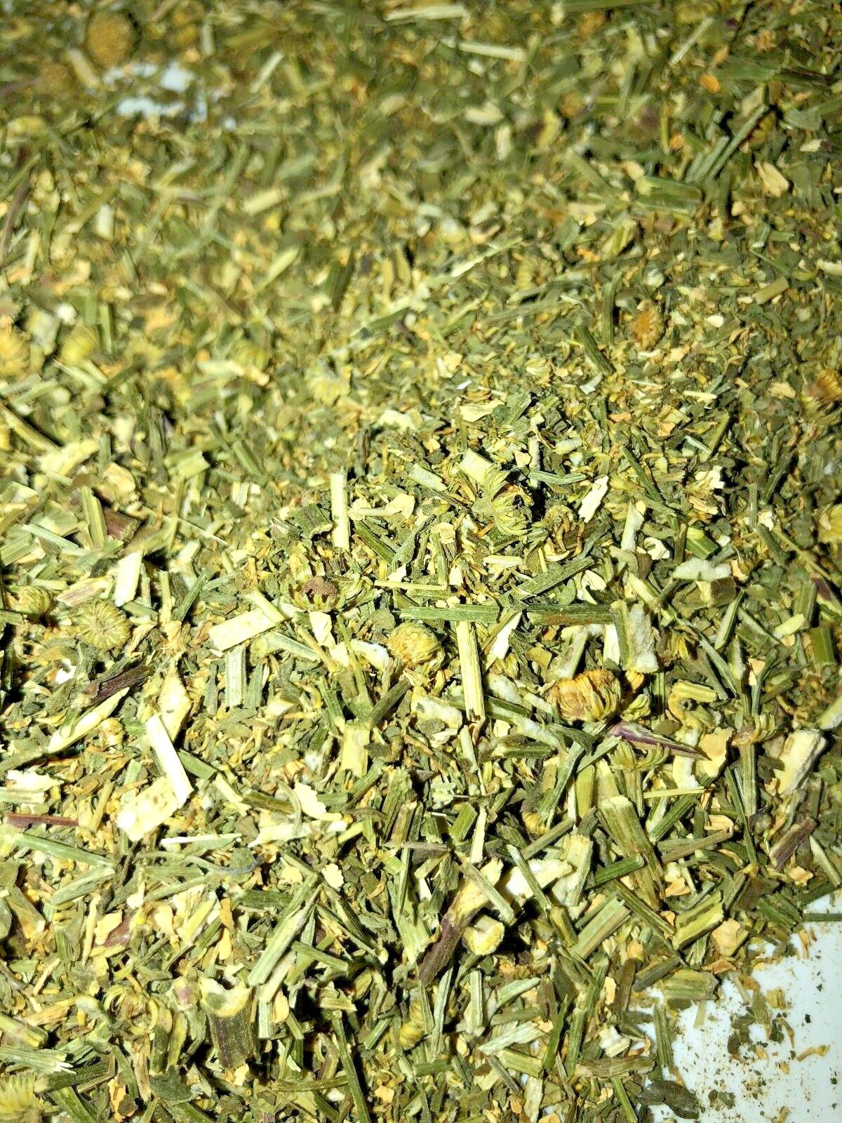 Feverfew Certified Organic Natural Headache Pain Herb Leaf
