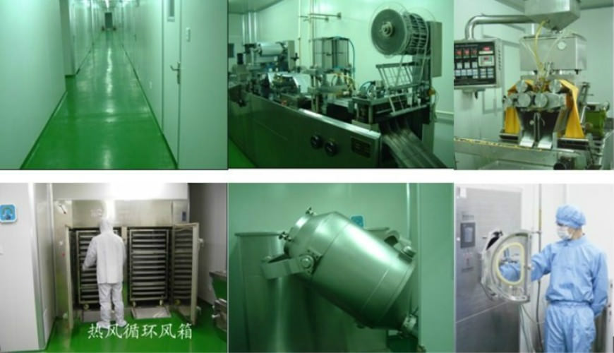 Schisandra Berry Tea Natural Premium Herbal Blend 250g