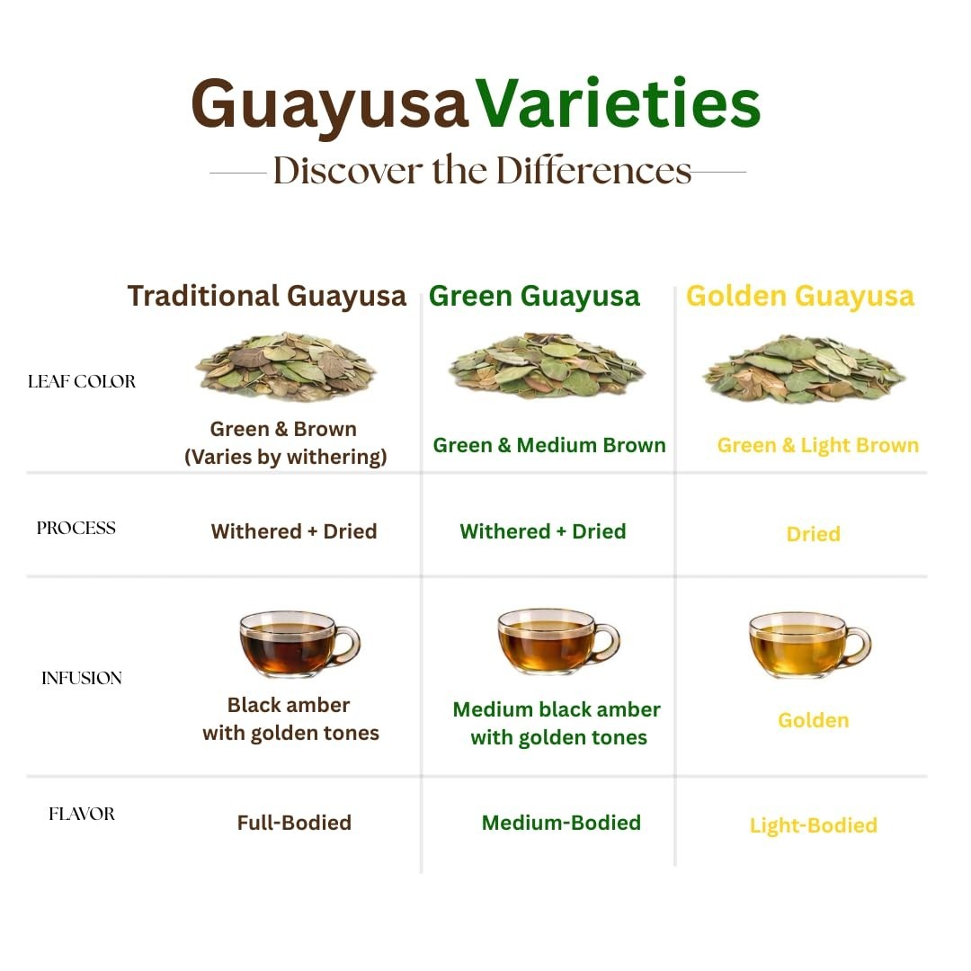 Pacha Guayusa Tea 2LB Organic Loose Leaf 66mg Caffeine Energy Blend