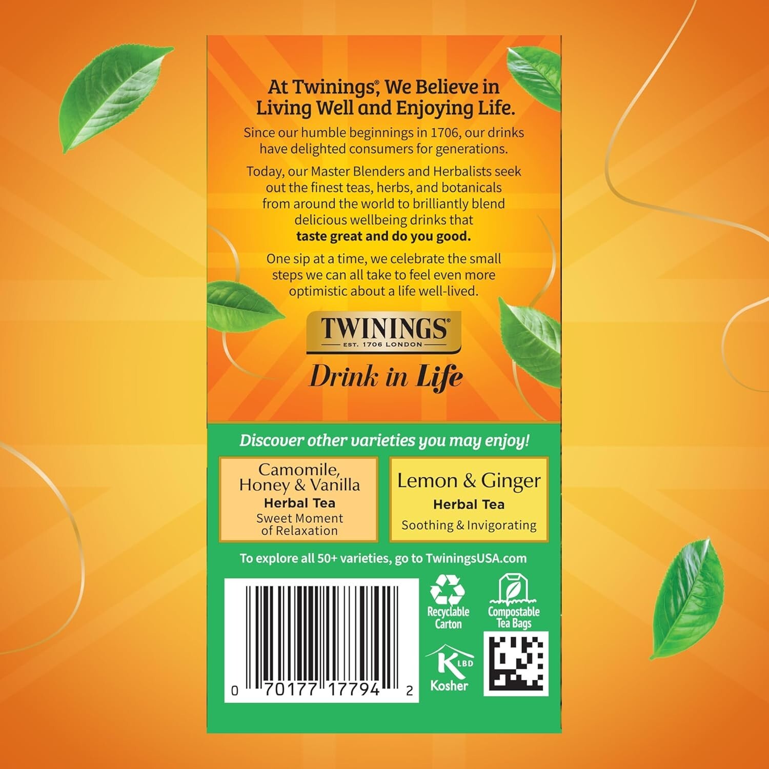 Decaffeinated Green Tea, Individually Wrapped Bags, 20 Count (Pack of 6), Smooth