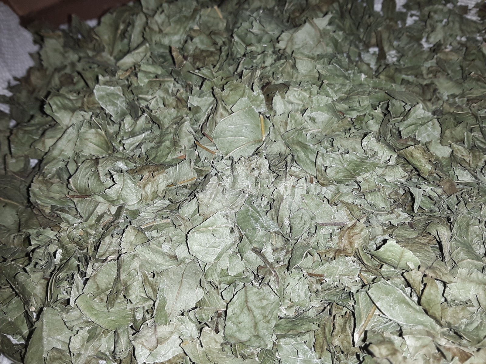 1 Cup Air Dried Guava Leaves; Herbal Tea.US grown.