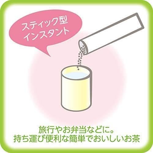 100 PCS Ito-en Oi Ocha Japanese Premium Green Tea Bag Sticks Zero Calories