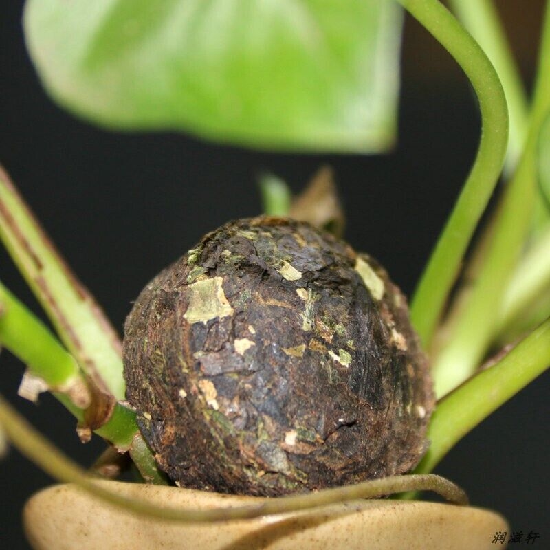 polished glutinous rice fragrance Puer tea YunNan small bowl-shaped compressed