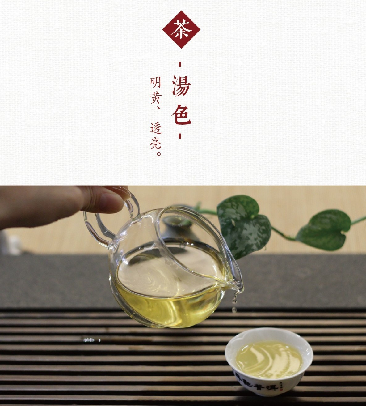Douji 2014 Jin Dou Raw Pu-erh Tea Cake – 357g (12.6oz)