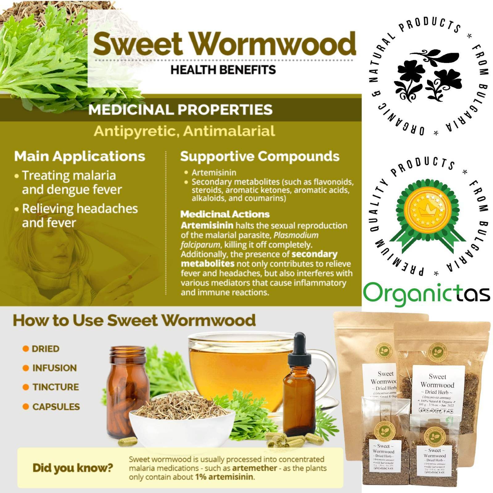 Sweet Wormwood/Sweet Annie Tea, Organic Artemisia Annua Premium Quality Qing Hao