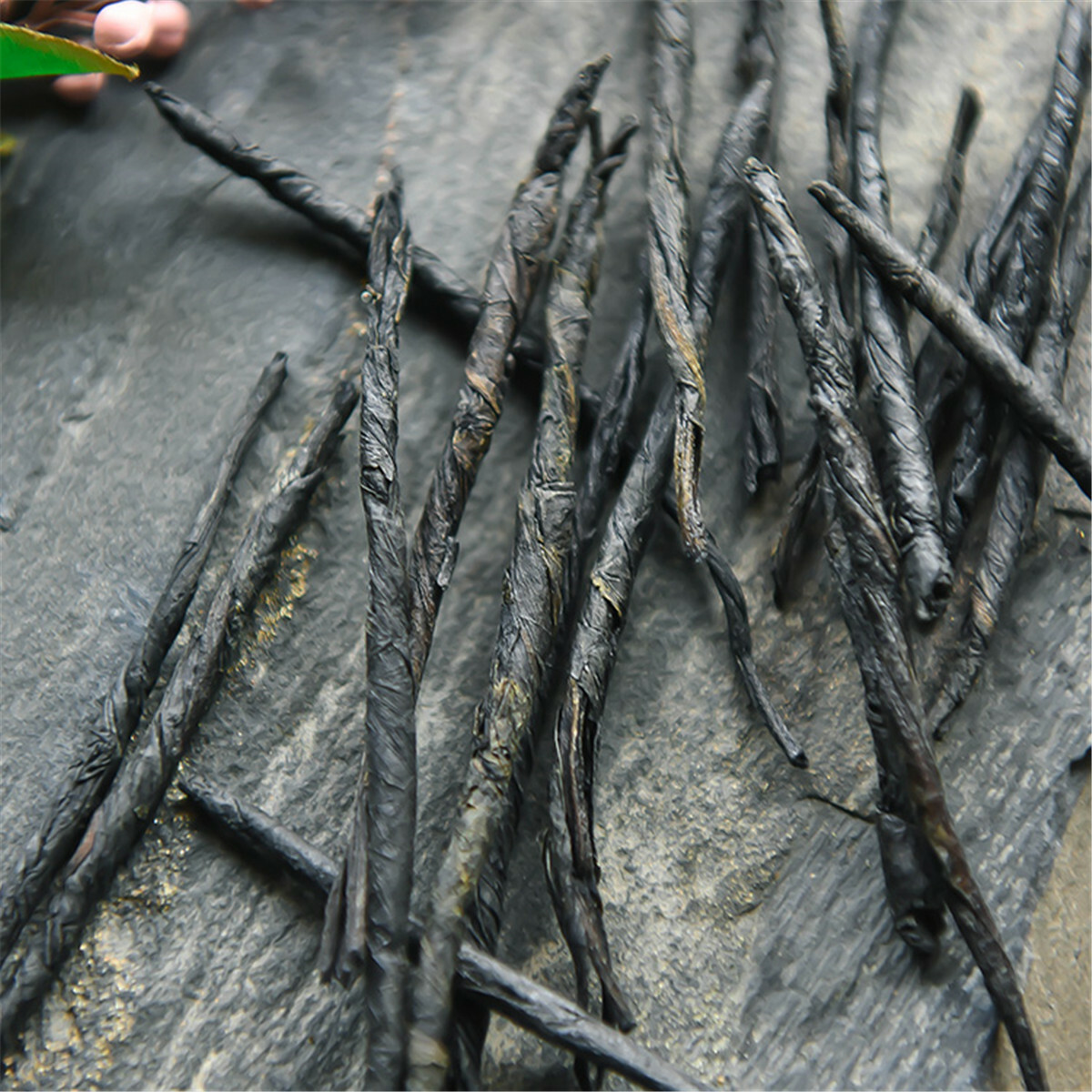 Wild-growing Hainan Imperial Kuding Tea Herbal Tea Bulk Bitter Needle Stalk Tea