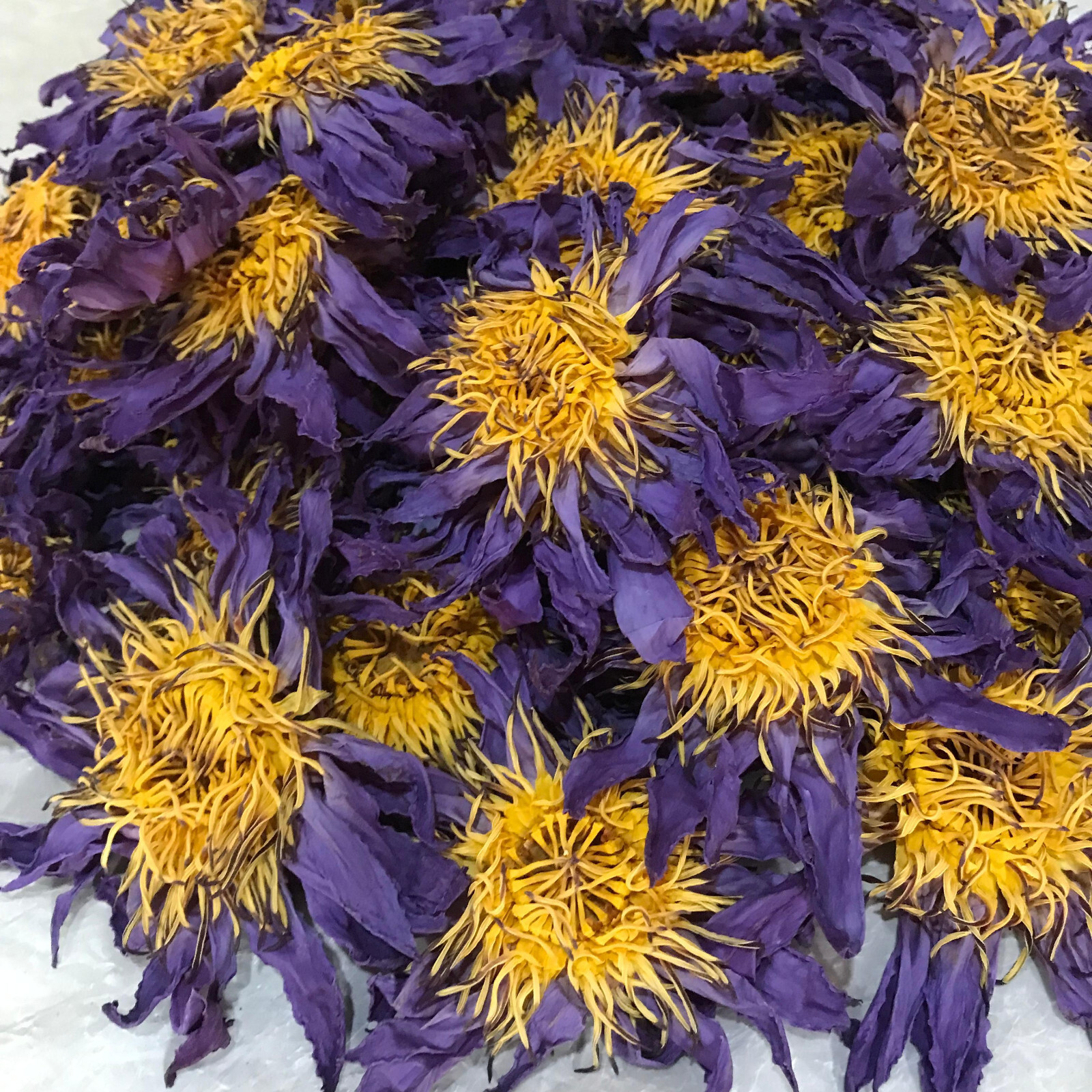 Ceylon Egyptian Blue Lotus 100% Hand Pick Organic Flowers Herbal Tea