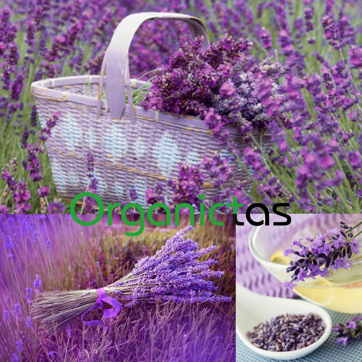100g Organic LAVENDER FLOWER Herbal Tea Natural Scent & Aroma Premium Quality