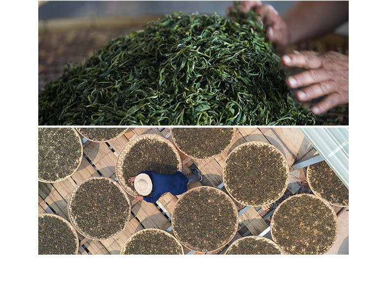 2021 Haiwan 9978 (batch 211) Lao Tong Zhi Old Comrade Ripe Puer Tea Cake 357g