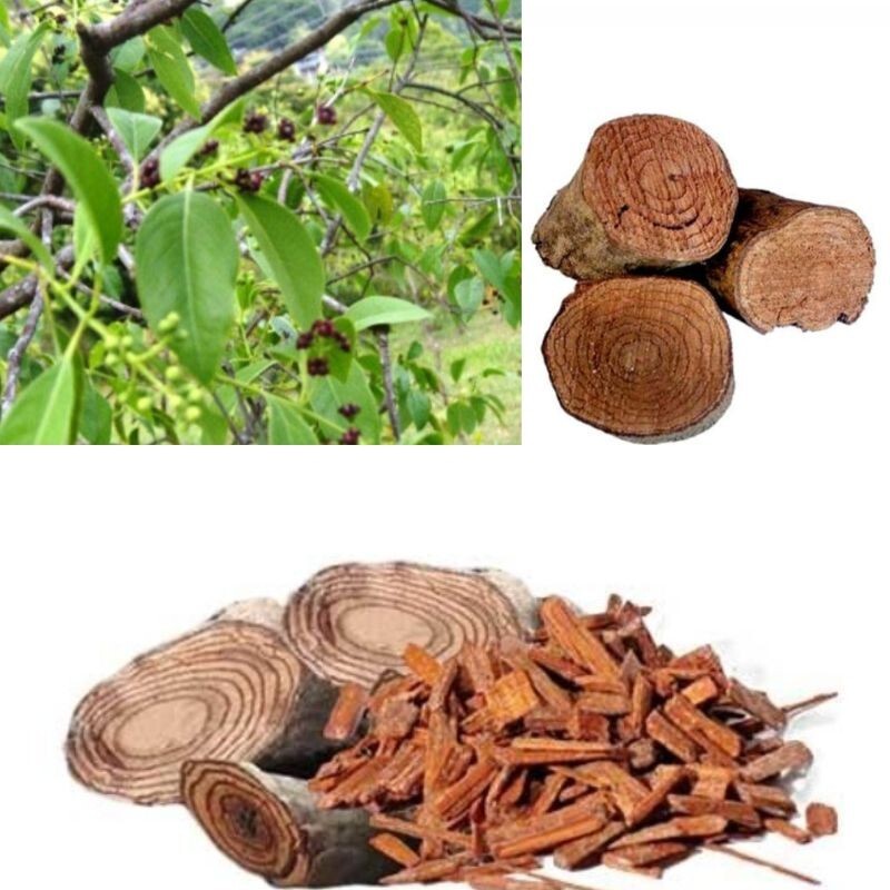 Salacia reticulata ceylon Kothala Himbutu Pure Herbal Drink Powder For Diabetic