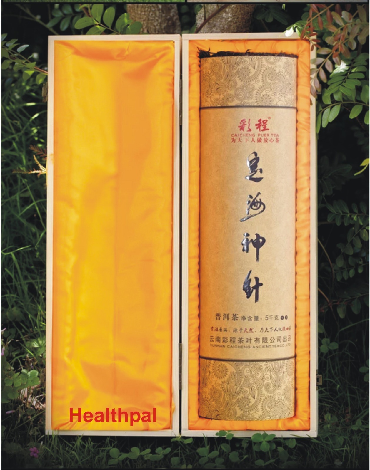China Loose Leaf Organic None Flavored Puer tea 5000g Raw (茶柱) Long-term