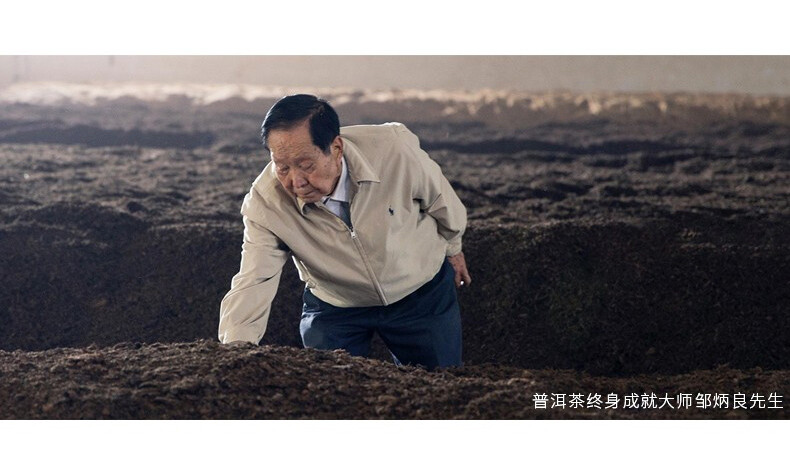 CHEN XIANG Mini Tuo Cha Haiwan Old Comrade Premium Puer Pu-erh Tea Ripe Pu’er