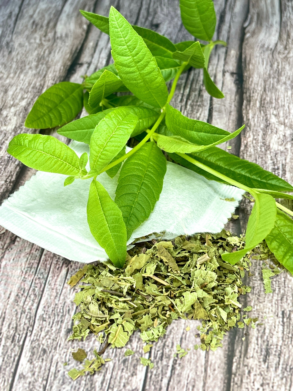 Lemon Verbena Tea by Palm Beach Herbals | 30ct, Caffeine-Free