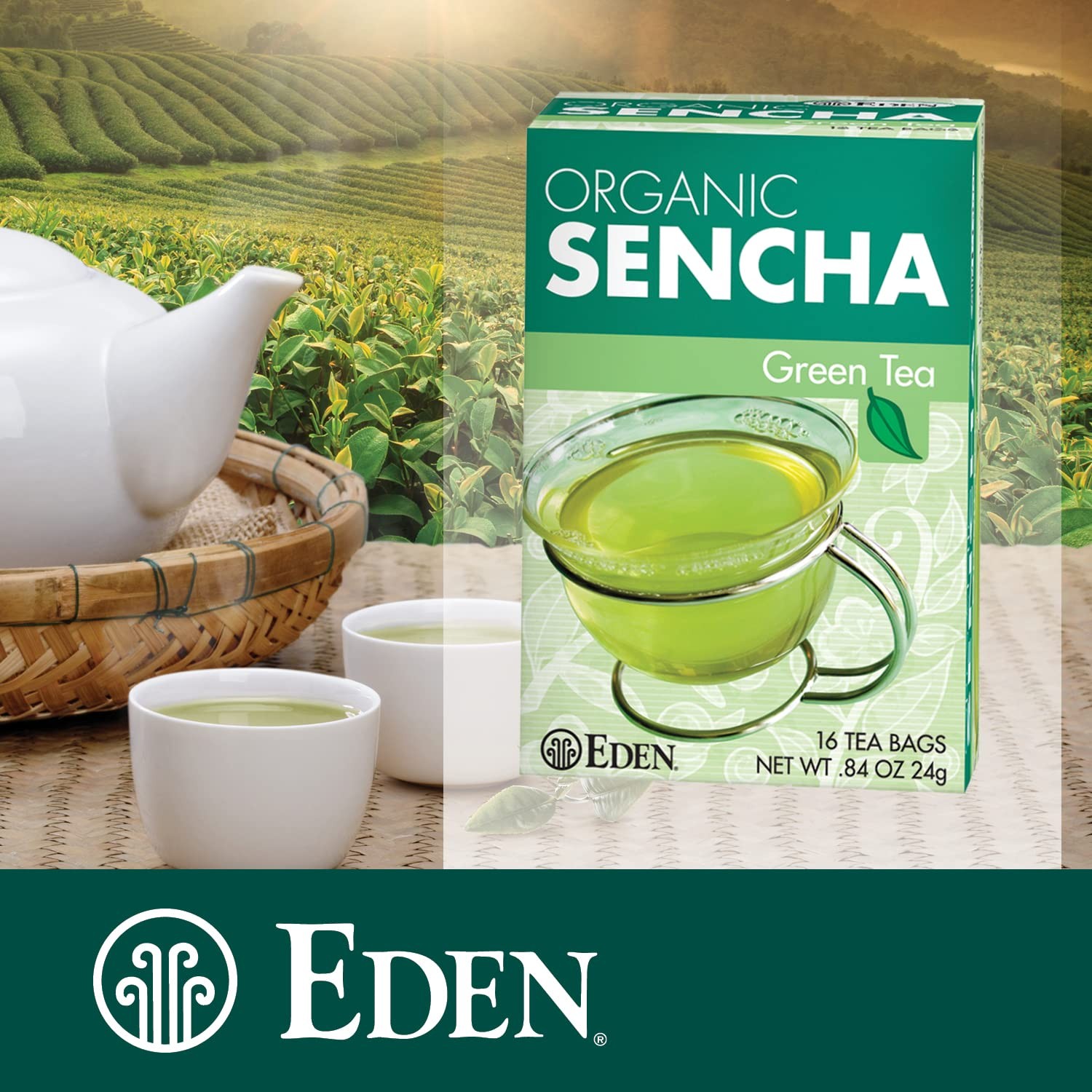 Organic Sencha Green Tea, Japanese, Uji Cha, 16 Unbleached Manila Tea Bags/Bo…