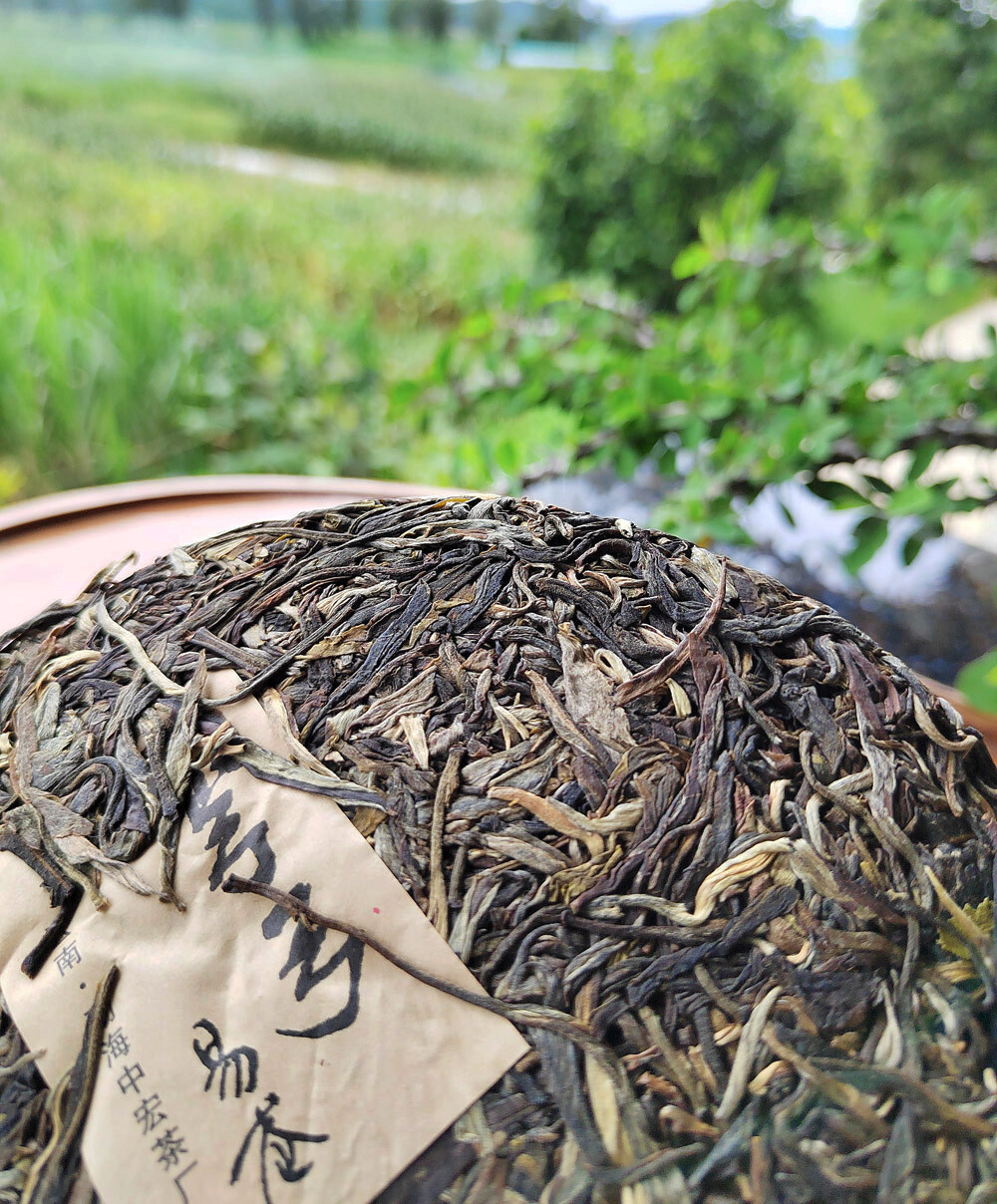 Pu’er Raw Tea Yunnan Ancient Tree Natural Healthy 357g Cake