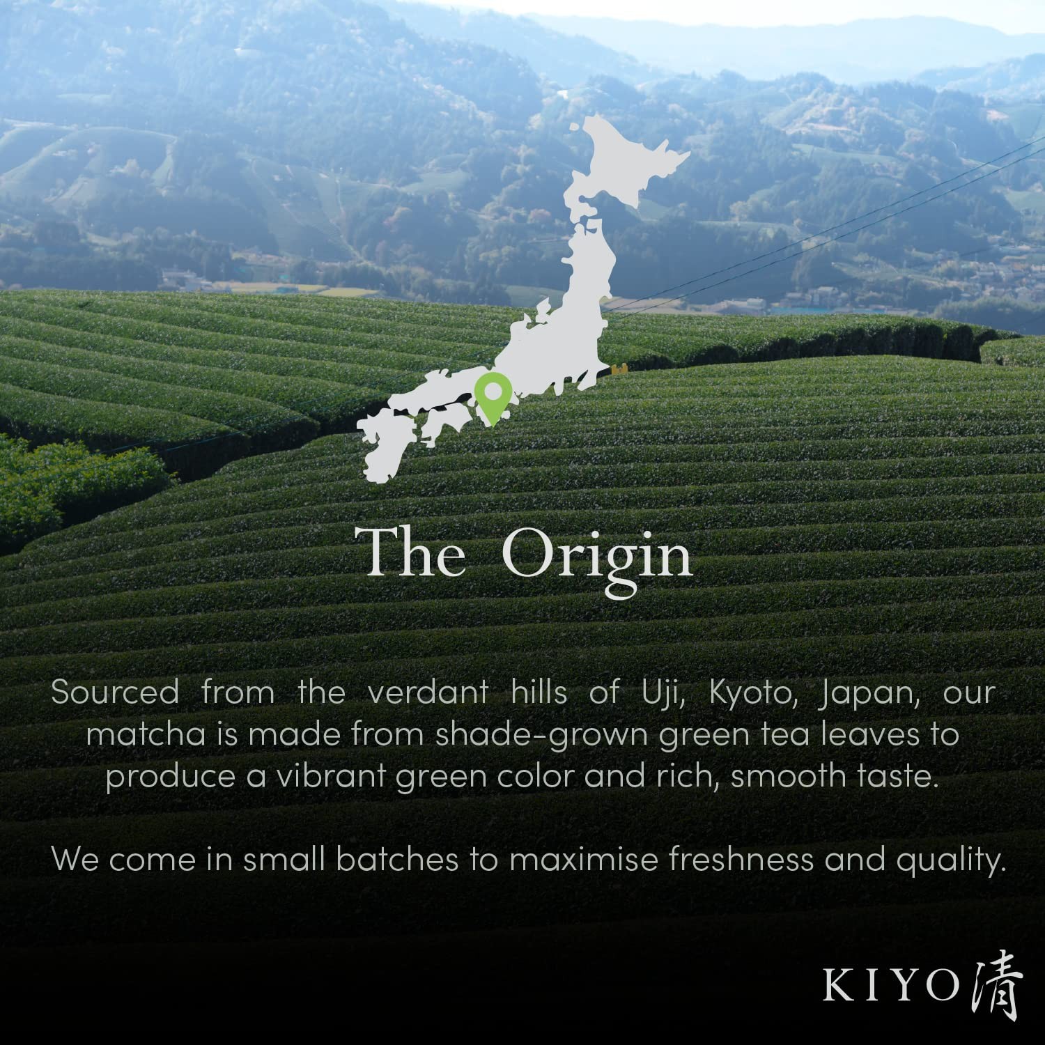 Ritual Grade Wakyo Ceremonial Uji Matcha – Pure Japanese First Harvest Ceremo…
