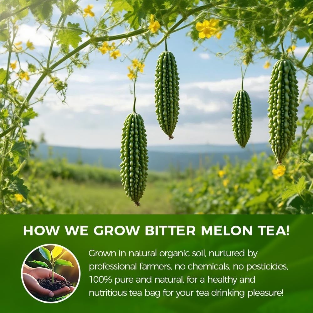 Natural Bitter Melon tea bags 120g. 60 Tea Bags,Natural Healthy Herbal Tea.No…