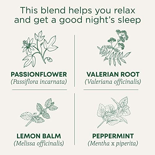 Organic Nighty Night Extra Tea – Valerian Root for Relaxation, 48 Bags