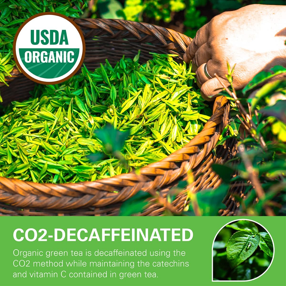 Organic Decaf Green Tea Bags, Organic Green Tea 200 Count | CO2-Decaffeinated…