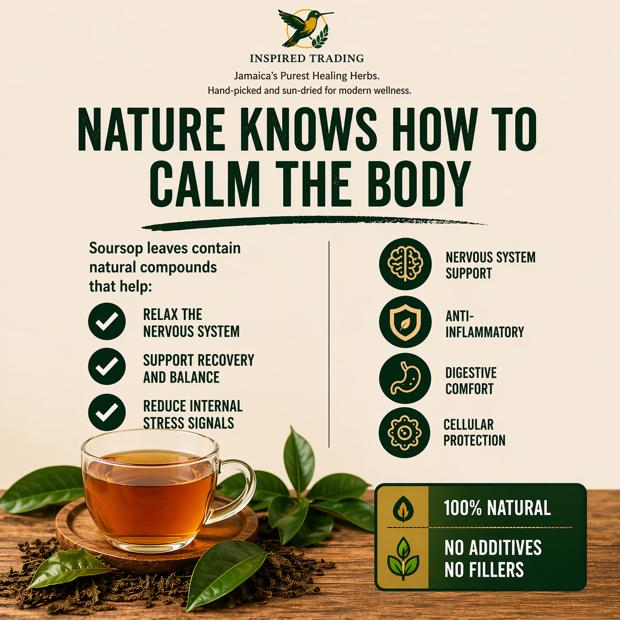 Authentic Jamaican Soursop Leaf-Jamaican Bush Tea • Available in US & Canada