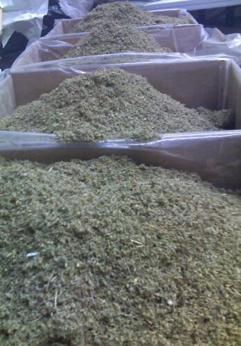 DAMIANA bulk WHOLESALE leaf ORGANIC herb 1 5 10 15 25 50 75 100 lbs Oz FREE ship