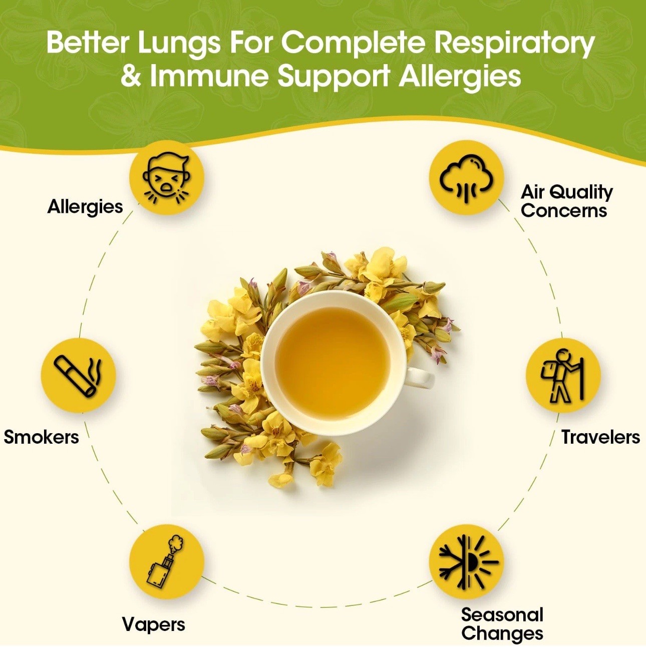 Mullein Leaf Tea Bags for Lung Cleanse, Respiratory Support and Mucus Allergies