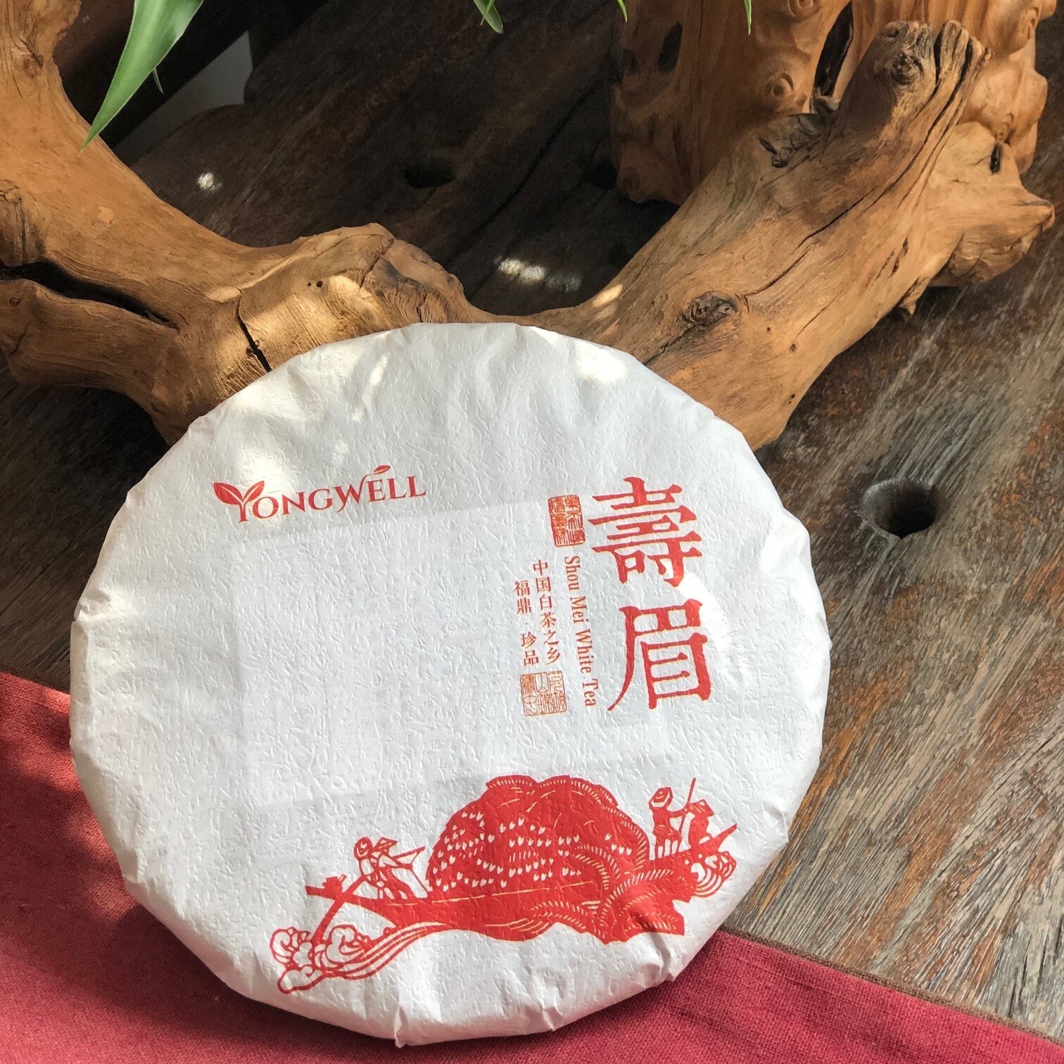 YongWell 2015 Premium Grade Shou Mei White Tea Cake 350g (12.3oz) USA Seller