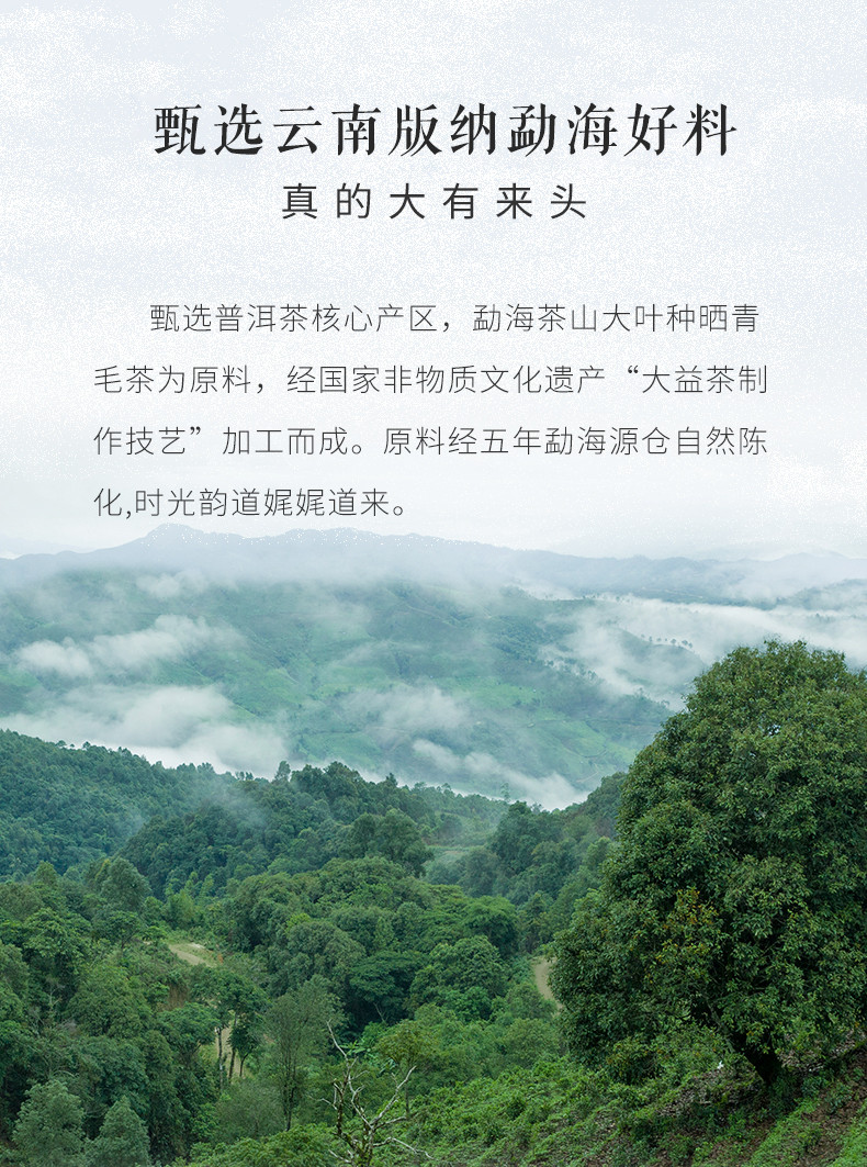 Menghai Tea Factory 2008 8582 TAETEA Dayi Raw Pu-erh Tea Cake 357g