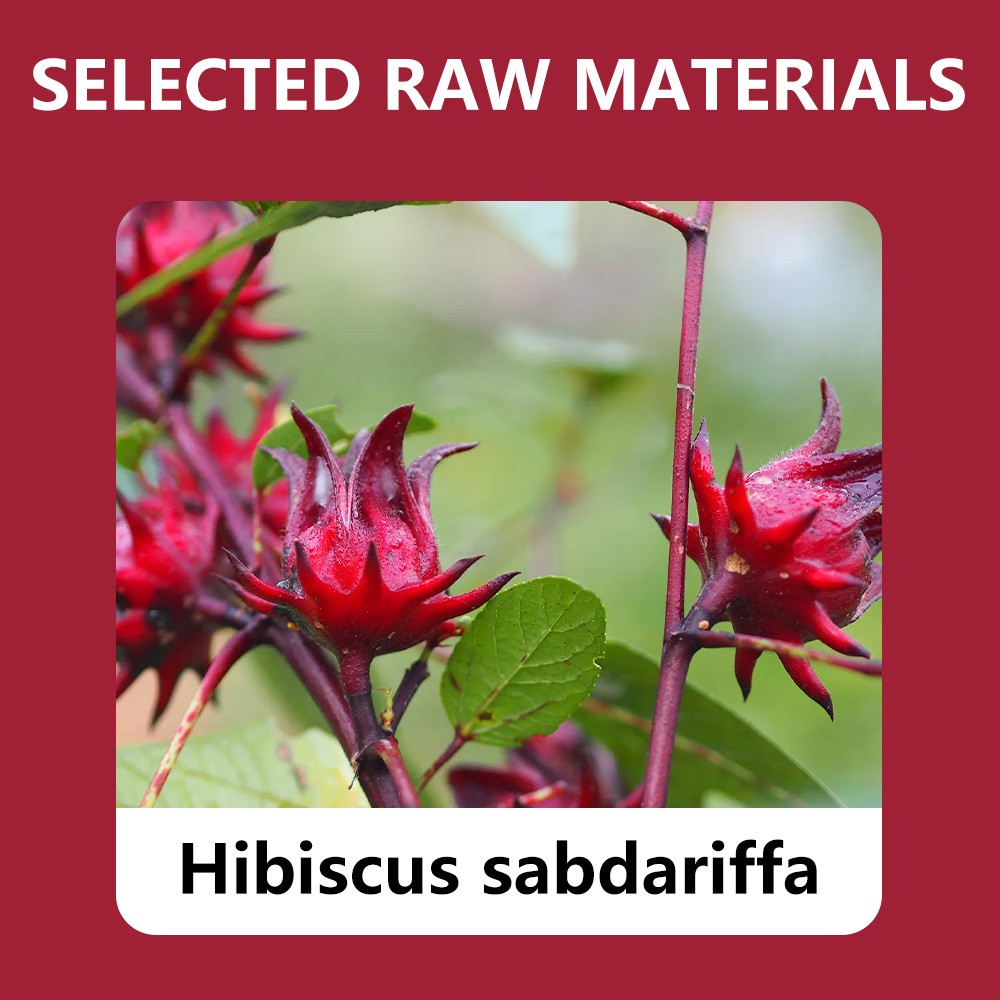 Hibiscus Sabdariffa Tea Supports Skin Health Quality Selection 2g Per Pack
