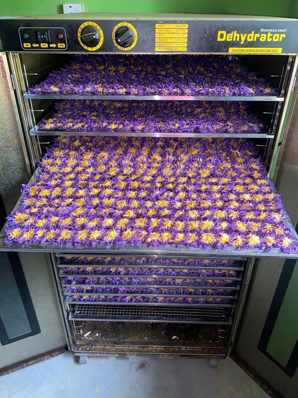 25g -250g Dried Blue Lotus Cut Flower Pure Nymphaea Caerulea Organic