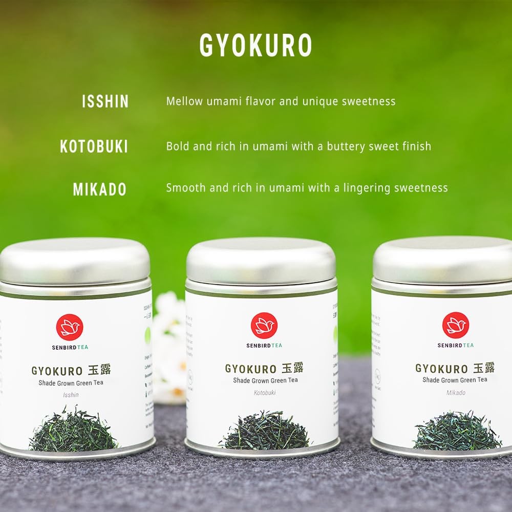 Senbird Premium Gyokuro – Japanese Shade Grown Green Tea – From Kyoto Japan -…
